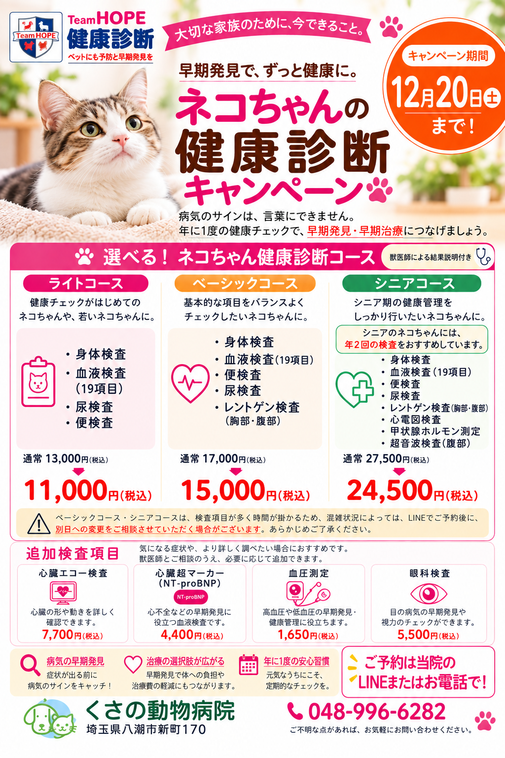 ネコちゃんの健康診断キャンペーンのお知らせ